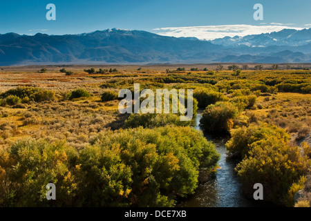Owens fiume nella Owens Valley, vicino al Vescovo, Sierra orientale, California Foto Stock