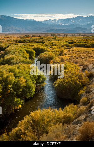 Owens fiume nella Owens Valley, vicino al Vescovo, Sierra orientale, California Foto Stock
