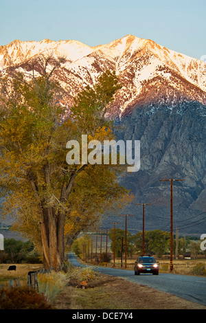 Strada nel Round Valley, Sierra orientale, California Foto Stock
