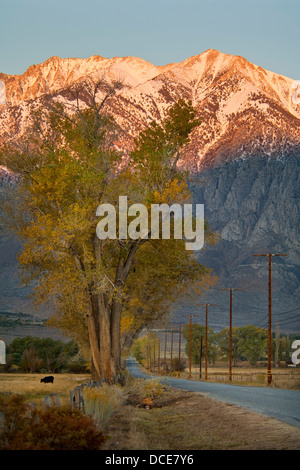 Strada nel Round Valley, Sierra orientale, California Foto Stock