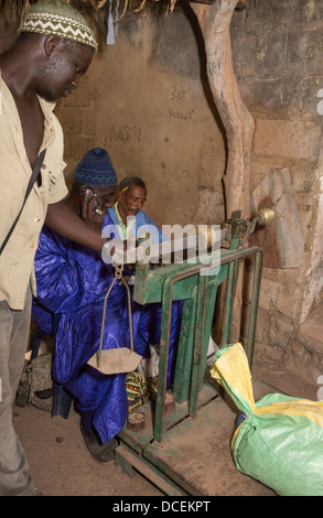 Anacardi pesatura acquirente dadi, Fass Njaga Choi, il Gambia. Foto Stock