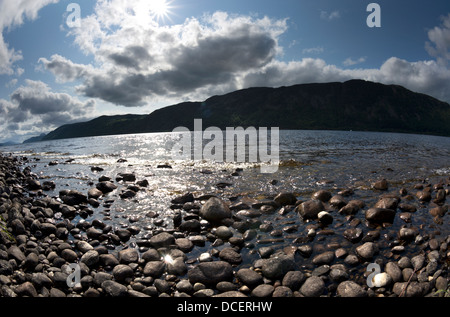 Loch Ness guardando verso il bosco a riva lontana dal punto di Tor vicino Dores Inverness Scozia Scotland Foto Stock