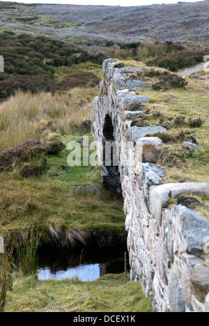 Il ponte Delavine sulla vecchia strada militare nel Parco Nazionale di Cairngorms in Scozia Foto Stock