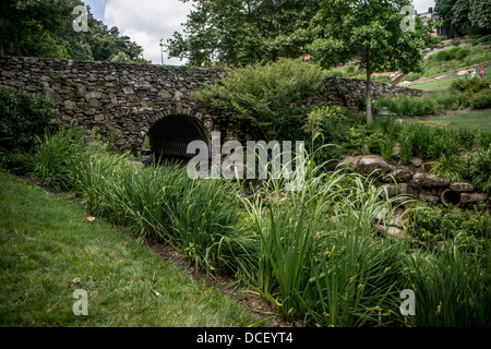 Coniglio di palude sentiero lungo il fiume Reedy a Falls Park di Greenville nella Carolina del Sud Foto Stock