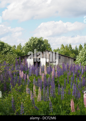 Casa in legno nel villaggio Foto Stock