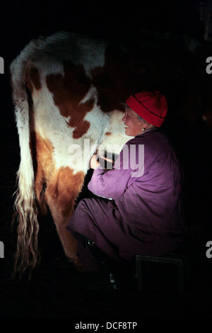 Latti donna un yak al di fuori di una tradizionale famiglia mongolo yurt o ger nella zona di Terelj, non lontano dalla capitale Ulaan Baatar. Foto Stock