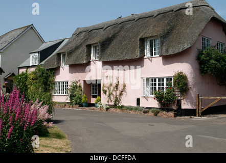 Cottage con tetto di paglia di Dunster Somerset England Regno Unito Foto Stock