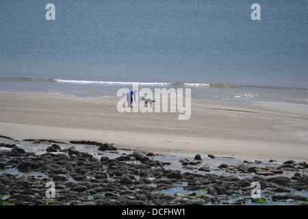 Saundersfoot Beach Pembrokeshire, Galles, ai primi di giugno. Spiaggia tranquilla popolare con cane walkers, famiglie e coppie Foto Stock