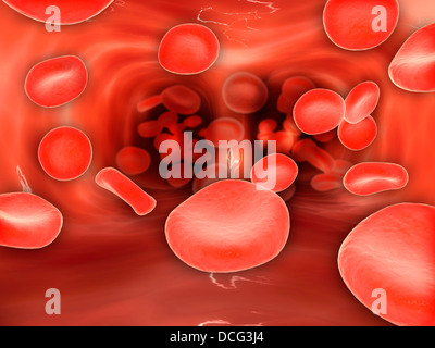 Vista microscopico delle cellule rosse del sangue che fluisce all'interno dei polmoni. Foto Stock