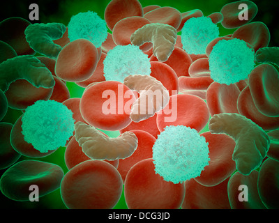 Immagine concettuale di anemia falciforme con cellule di sangue rosso e bianco bood cellule. Foto Stock