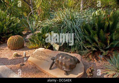 Texas scultura tartaruga sul sentiero natura a Quinta Mazatlan, McAllen, Texas Foto Stock