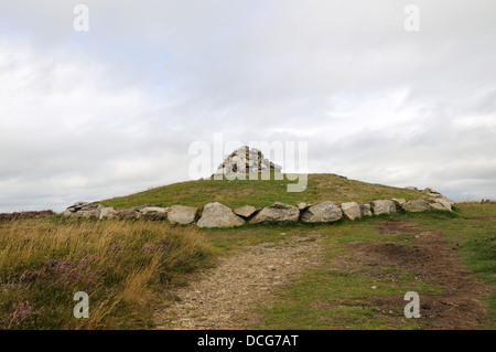 Età del Bronzo Tumulo a Penycloddiau Hill Fort Flintshire ricostruito nel 2010 Galles Cymru REGNO UNITO GB Foto Stock