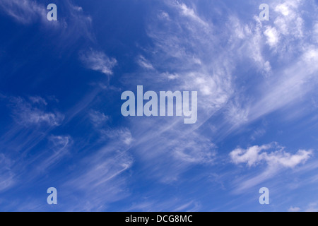 Alta bianco wispy cirrus mare nuvole di coda contro il cielo blu, REGNO UNITO Foto Stock