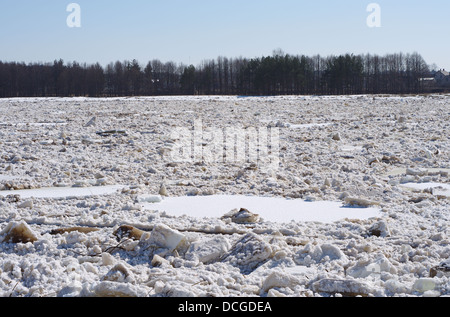 Paesaggio con la deriva di ghiaccio sul fiume Foto Stock