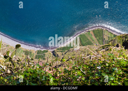 Lofty cliff (580 m) Cabo Girao; luogo popolare sull'isola di Madera; sotto i campi e oceano, bella vista Foto Stock