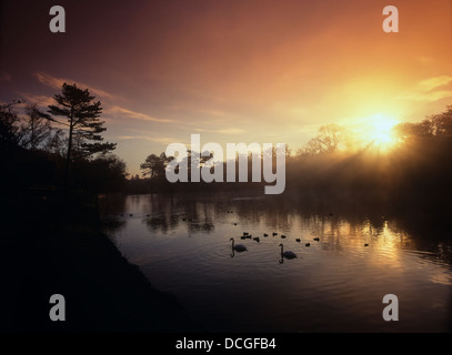 Alba sul lago artificiale di Shornden, Alexandra Park, Hastings, East Sussex, Inghilterra, REGNO UNITO Foto Stock