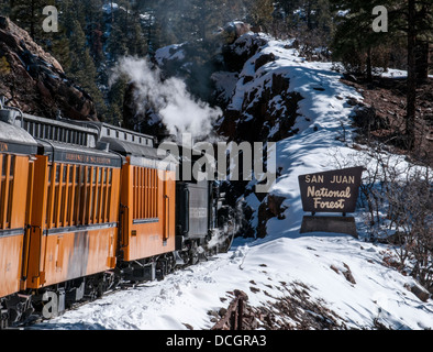 Motore a vapore e boxcars da Durango e Silverton Narrow Gauge Railroad entrando in Foresta Nazionale di San Juan Foto Stock