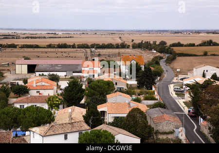 Vista in elevazione del villaggio Marsilly vicino a la Rochelle in Francia cercando di mare con vista della fattoria di struzzo Foto Stock