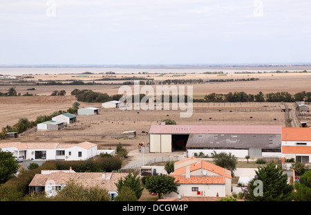 Vista in elevazione del villaggio Marsilly vicino a la Rochelle in Francia cercando di mare che mostra uno struzzo agriturismo a distanza Foto Stock