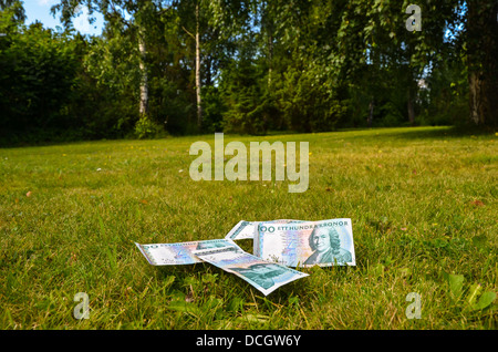 Banca svedese di note a prato in un giardino Foto Stock