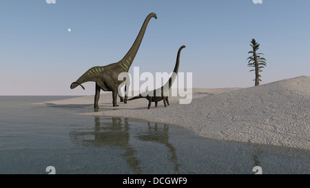 Due roaming Mamenchisaurus lungo il litorale. Foto Stock