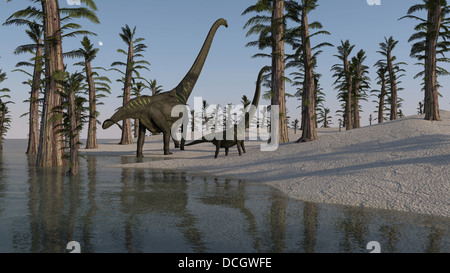 Due roaming Mamenchisaurus lungo il litorale. Foto Stock
