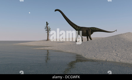 Mamenchisaurus camminando lungo il litorale. Foto Stock