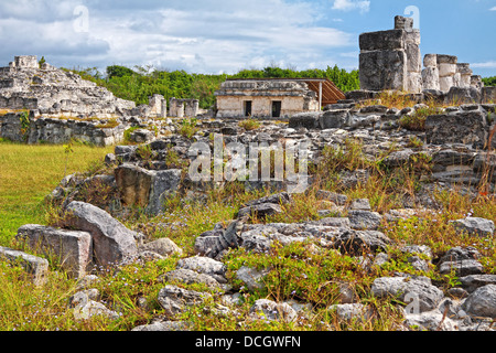 Ruina El Rey o Zona Arqueologica El Rey con un iguana a prendere il sole tra le rocce, in Cancun Messico Foto Stock