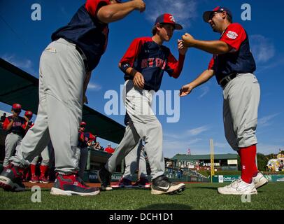 Agosto 17, 2013 - Aberdeen, Maryland, Stati Uniti - Scene del New England (New Milford, CT) rispetto a sud-est (ovest di Raleigh, NC) U.S. Partita di campionato sul campionato Playoff giornata presso la Cal Ripken World Series di Aberdeen, Maryland il 17 agosto 2013. A ovest di Raleigh sconfitto New Milford 7-3. (Credito Immagine: © Scott Serio/eclipse/ZUMAPRESS.com) Foto Stock