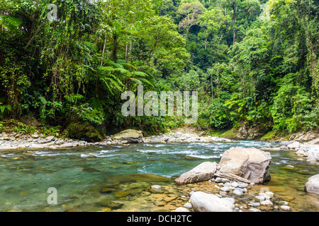 Un chiaro che scorre veloce fiume si muove attraverso l'incontaminata foresta pluviale tropicale nel sud est asiatico Foto Stock