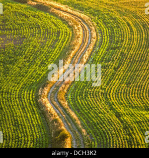 Terreni agricoli a piedi di Firle Beacon Foto Stock