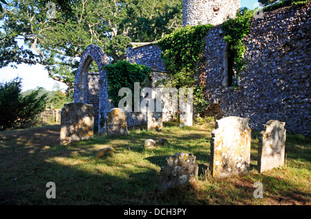 Una vista del portico sud e la navata della chiesa in rovina di San Teobaldo a grande Hautbois, Norfolk, Inghilterra, Regno Unito. Foto Stock