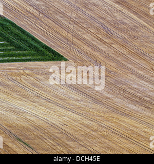 Terreni agricoli a piedi di Firle Beacon Foto Stock