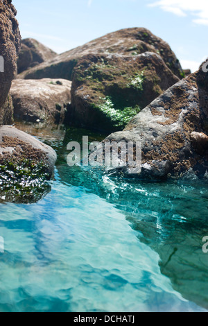 Rock pool con cirripedi sulle rocce Foto Stock