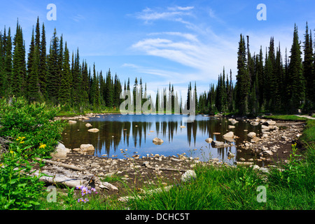 Balsamo del lago, Mount Revelstoke National Park. Revelstoke, British Columbia, Canada. Foto Stock