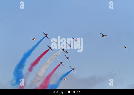 Eastbourne, Regno Unito, 18 agosto 2013,le frecce rosse volare oltre il molo sotto il sole durante l'aria Airbourne display nel credito Eastbourn: Keith Larby/Alamy live News Foto Stock