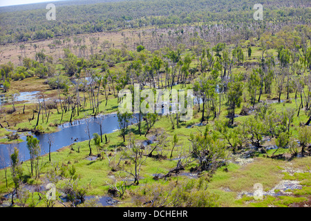 Parco Nazionale Kakadu golenali antenna, Australia Foto Stock
