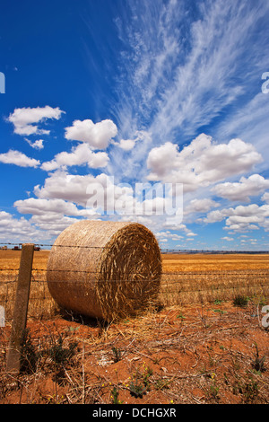 Coltivazione di frumento nella metà del nord del Sud Australia Foto Stock