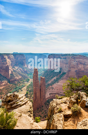 Spider Rock visto dal bordo sud nelle prime ore del mattino, Canyon De Chelly National Monument, Chinle Arizona, Stati Uniti d'America Foto Stock