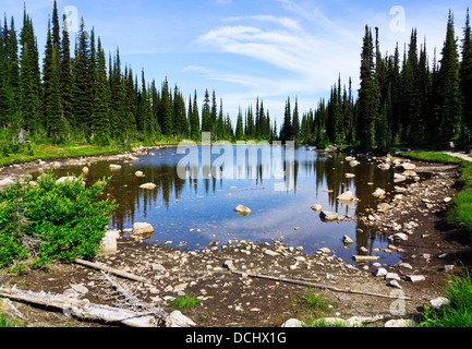 Balsamo del lago, Mount Revelstoke National Park. Revelstoke, British Columbia, Canada. Foto Stock