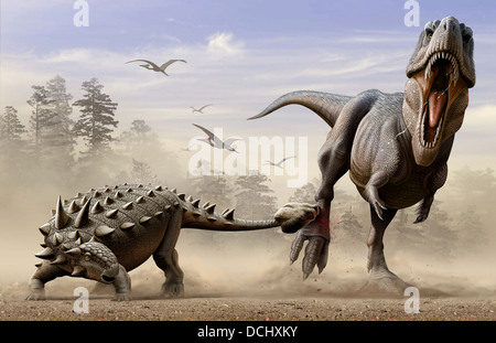 Un Euoplocephalus hits T-Rex il piede dal suo macis come tail in auto-difesa. Foto Stock