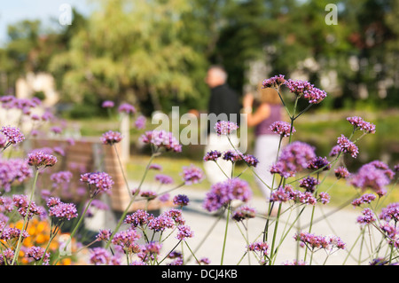 Landesgartenschau tierschenreuth, Germania 2013 Foto Stock