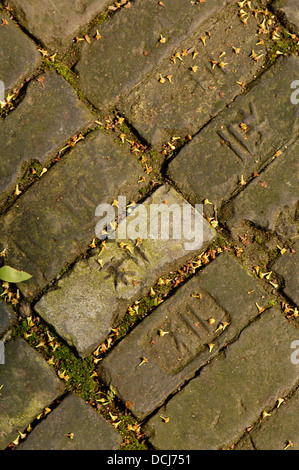 Muratura in giardino Taiwanese architetto e designer Deng Kun Yan Situato nel distretto di Yangpu Shanghai in Cina con un enfasi sul Foto Stock