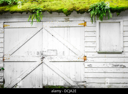 Coperte di muschio edificio abbandonato con schierandosi bianco Foto Stock