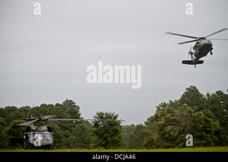 Due Stati Uniti Esercito UH-60 Black Hawk elicotteri da 150 elicottero d'assalto battaglione, New Jersey Esercito Nazionale Guardia, trasportare soldati e aviatori durante un inserimento aria esercizio a Fort Pickett, Virginia, il Ago 17 Foto Stock