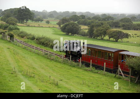 Tywyn, Wales, Regno Unito, Sabato, 17 agosto 2013 nell'immagine: il treno. Re: gara il treno è un annuale cross country in esecuzione evento che avviene in Tywyn, metà del Galles. La gara è organizzata da Tywyn Rotary Club, e attrae corridori provenienti da tutto il mondo. Nel main event, corridori competere per battere un treno a vapore su conserve Talyllyn Railway su una distanza di 14 miglia (23 km). La manifestazione è stata l'idea di dentista locale, Godfrey Worsey, e fu eseguita per la prima volta nel 1984 con circa 48 guide. © D Legakis/Alamy Live News Foto Stock