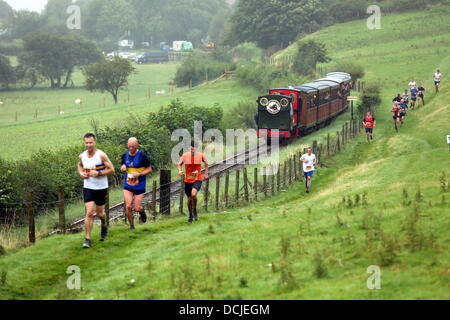 Tywyn, Wales, Regno Unito, Sabato, 17 agosto 2013 nella foto: atleti racing contro un treno a vapore vicino Tywyn, Galles. Re: gara il treno è un annuale cross country in esecuzione evento che avviene in Tywyn, metà del Galles. La gara è organizzata da Tywyn Rotary Club, e attrae corridori provenienti da tutto il mondo. Nel main event, corridori competere per battere un treno a vapore su conserve Talyllyn Railway su una distanza di 14 miglia (23 km). La manifestazione è stata l'idea di dentista locale, Godfrey Worsey, e fu eseguita per la prima volta nel 1984 con circa 48 guide. © D Legakis/Alamy Live News Foto Stock