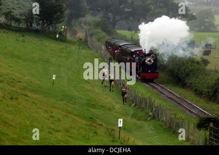 Tywyn, Wales, Regno Unito, Sabato, 17 agosto 2013 nella foto: atleti racing contro un treno a vapore vicino Tywyn, Galles. Re: gara il treno è un annuale cross country in esecuzione evento che avviene in Tywyn, metà del Galles. La gara è organizzata da Tywyn Rotary Club, e attrae corridori provenienti da tutto il mondo. Nel main event, corridori competere per battere un treno a vapore su conserve Talyllyn Railway su una distanza di 14 miglia (23 km). La manifestazione è stata l'idea di dentista locale, Godfrey Worsey, e fu eseguita per la prima volta nel 1984 con circa 48 guide. © D Legakis/Alamy Live News Foto Stock