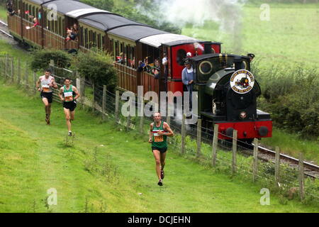 Tywyn, Wales, Regno Unito, Sabato, 17 agosto 2013 nella foto: atleti racing contro un treno a vapore vicino Tywyn, Galles. Re: gara il treno è un annuale cross country in esecuzione evento che avviene in Tywyn, metà del Galles. La gara è organizzata da Tywyn Rotary Club, e attrae corridori provenienti da tutto il mondo. Nel main event, corridori competere per battere un treno a vapore su conserve Talyllyn Railway su una distanza di 14 miglia (23 km). La manifestazione è stata l'idea di dentista locale, Godfrey Worsey, e fu eseguita per la prima volta nel 1984 con circa 48 guide. © D Legakis/Alamy Live News Foto Stock