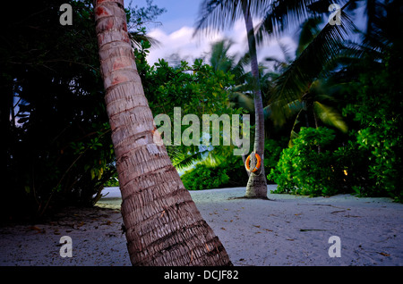 Maldive di sera Foto Stock